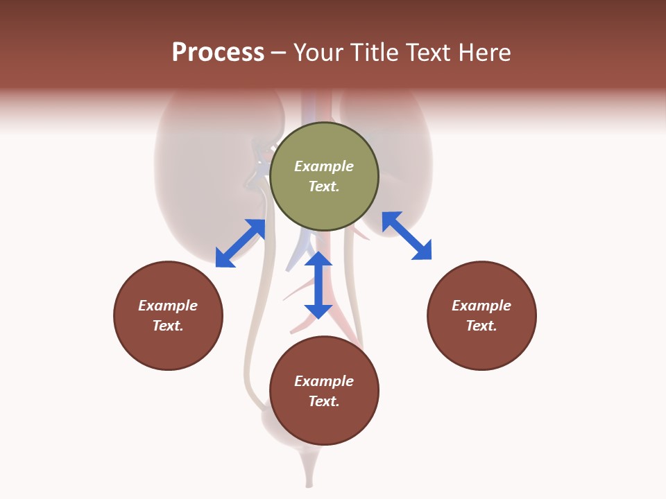 People Care Pregnant PowerPoint Template