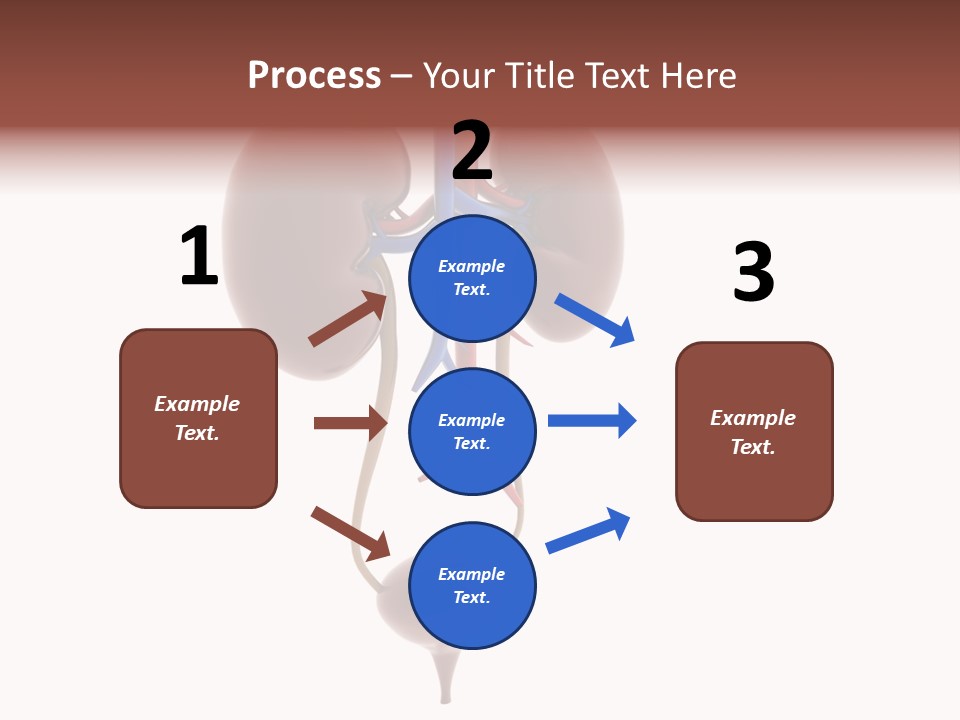 People Care Pregnant PowerPoint Template