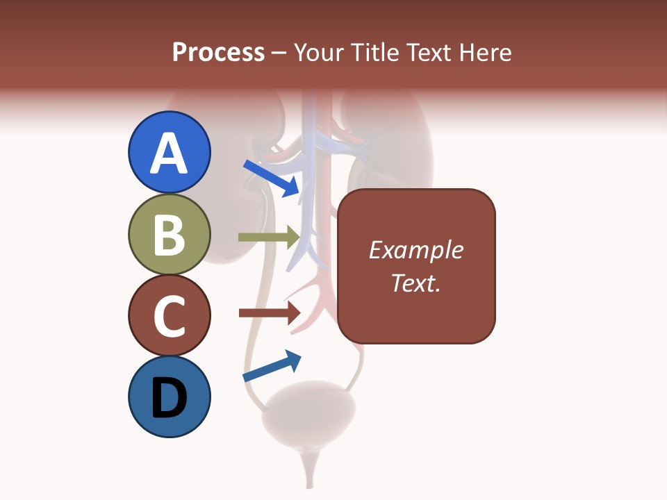 People Care Pregnant PowerPoint Template