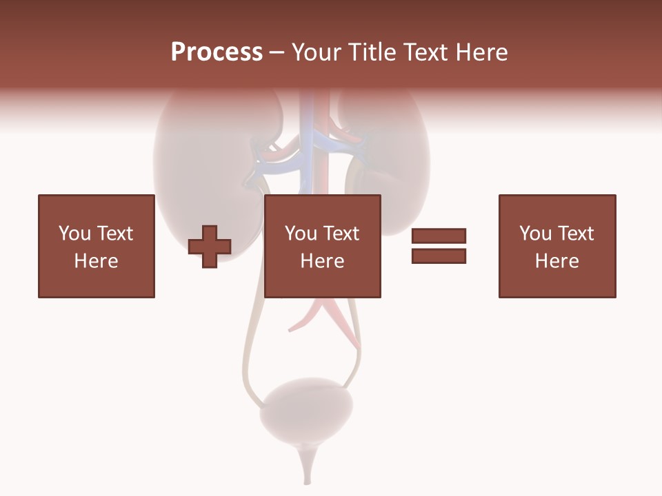 People Care Pregnant PowerPoint Template