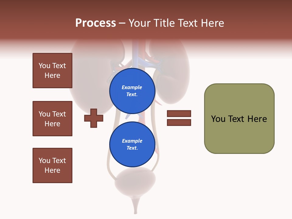 People Care Pregnant PowerPoint Template