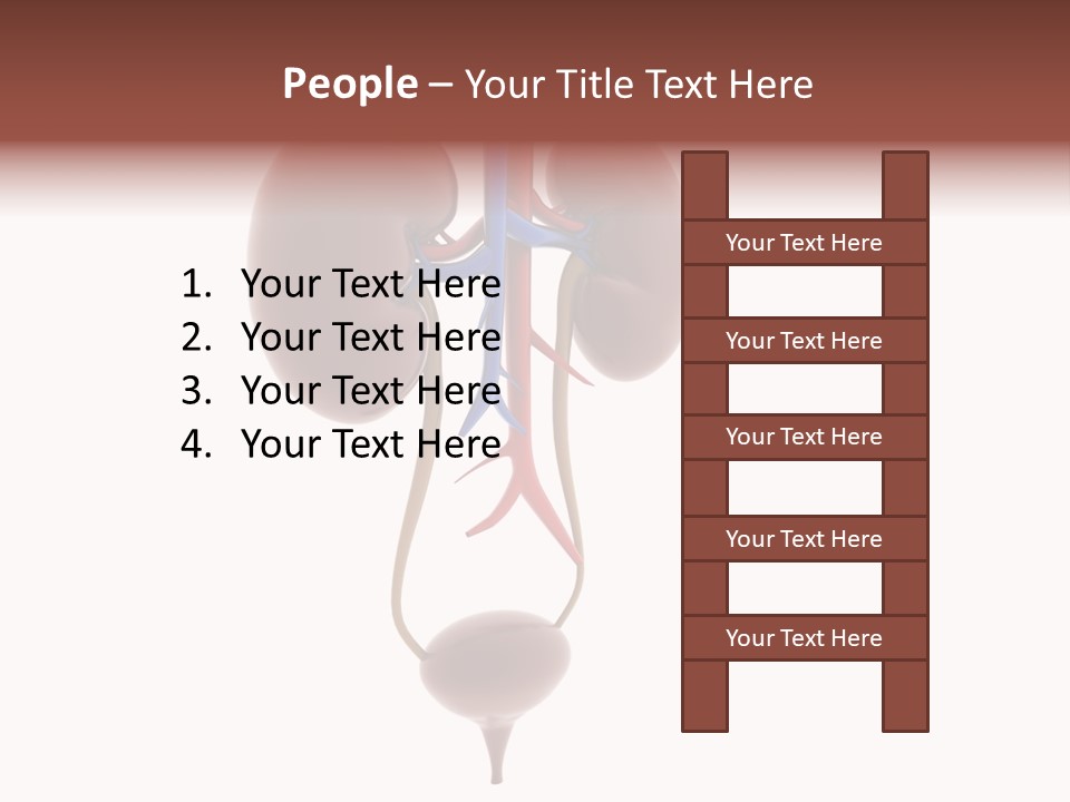 People Care Pregnant PowerPoint Template