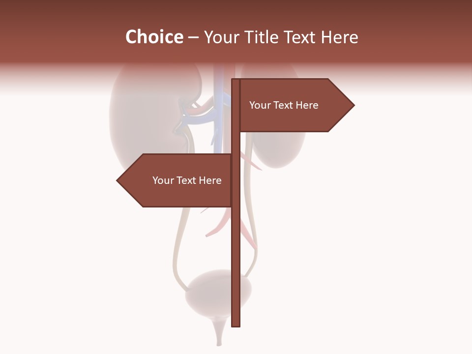 People Care Pregnant PowerPoint Template