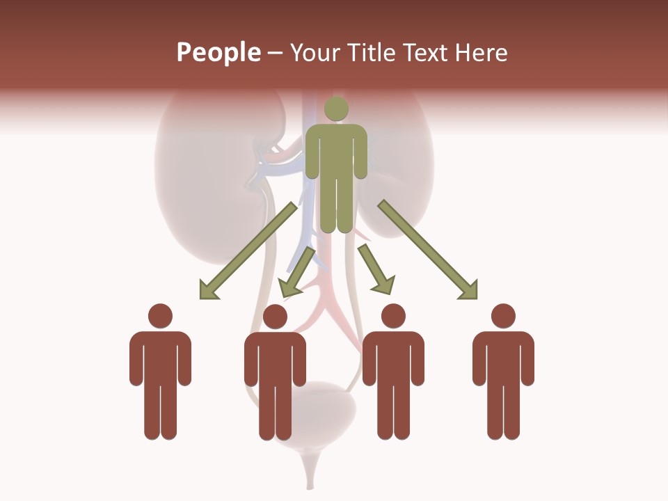 People Care Pregnant PowerPoint Template