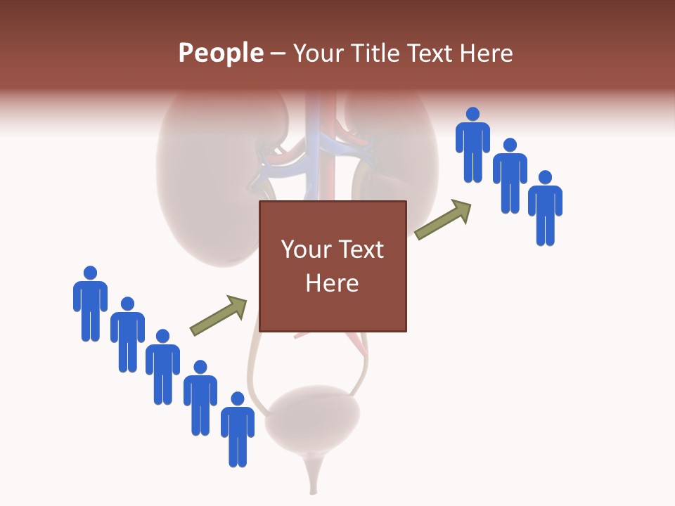 People Care Pregnant PowerPoint Template