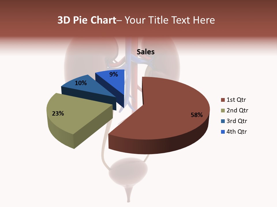 People Care Pregnant PowerPoint Template