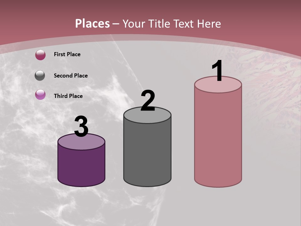 Silver Sand Mane PowerPoint Template