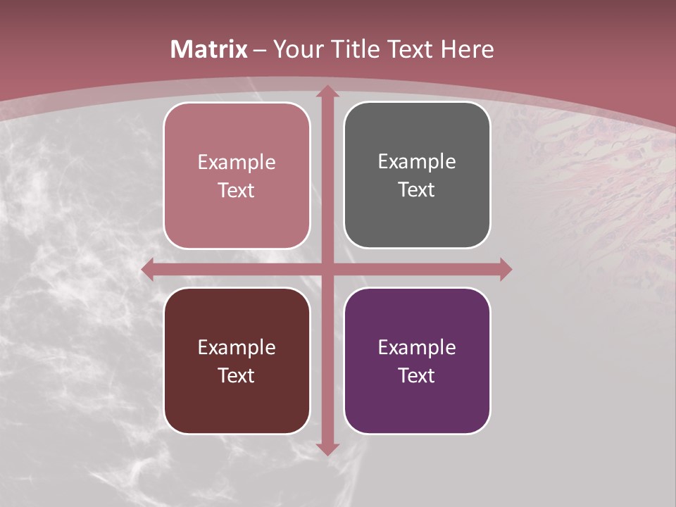 Silver Sand Mane PowerPoint Template