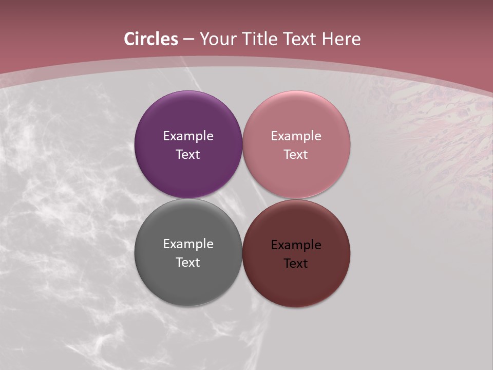 Silver Sand Mane PowerPoint Template