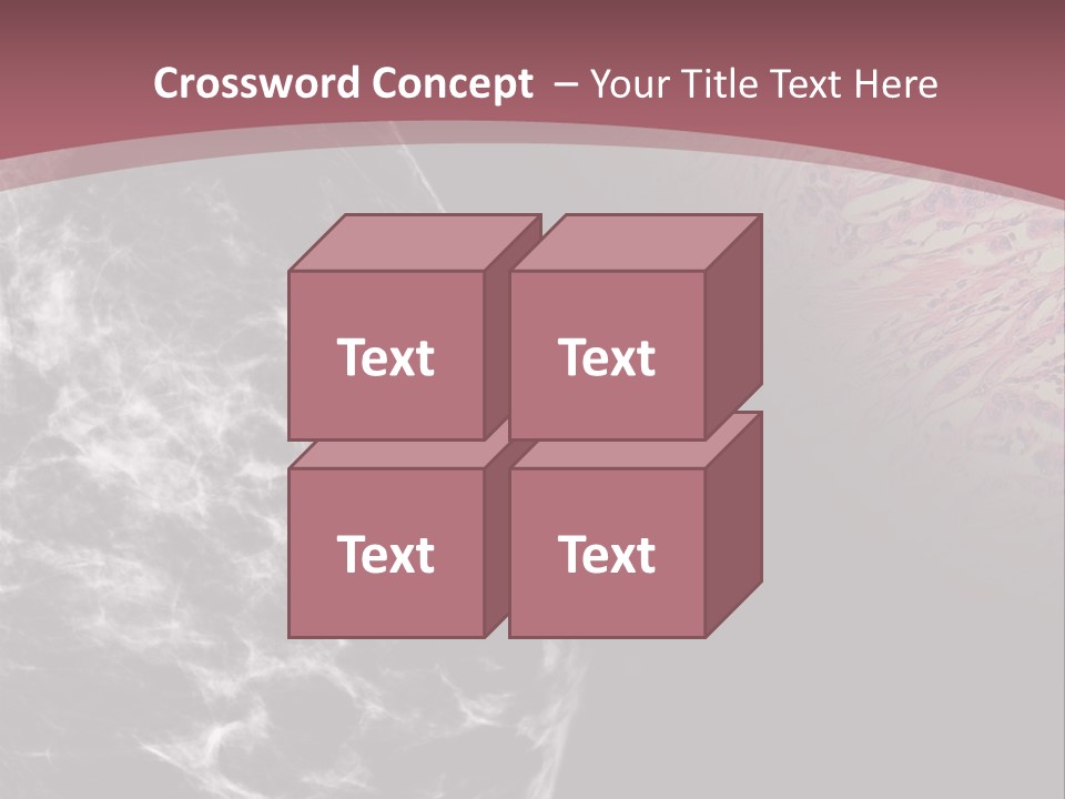 Silver Sand Mane PowerPoint Template