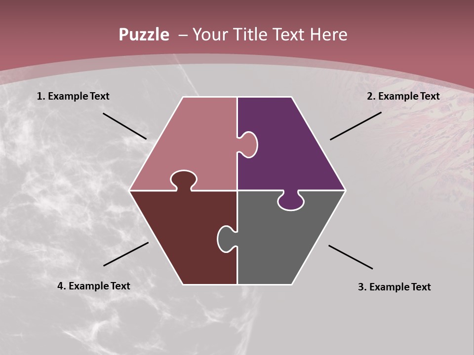 Silver Sand Mane PowerPoint Template