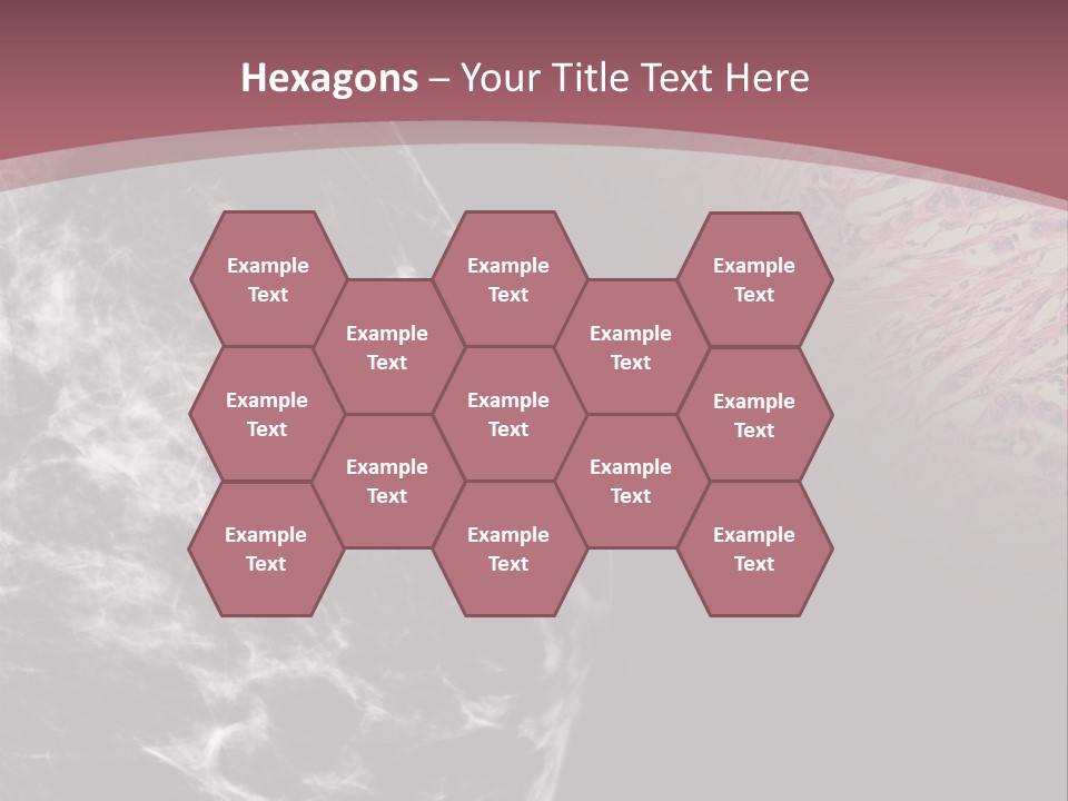 Silver Sand Mane PowerPoint Template