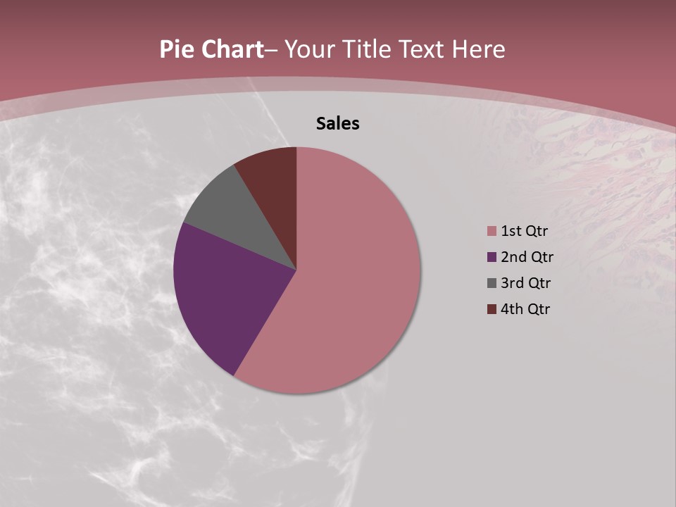 Silver Sand Mane PowerPoint Template