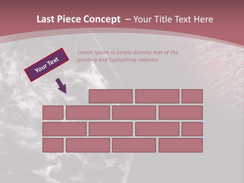 Silver Sand Mane PowerPoint Template