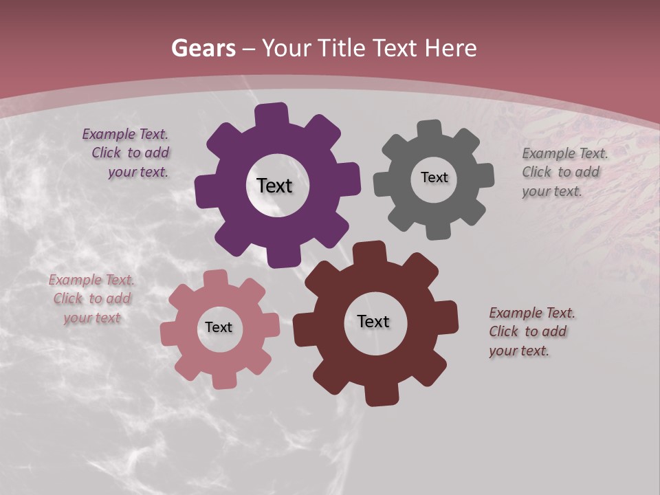 Silver Sand Mane PowerPoint Template