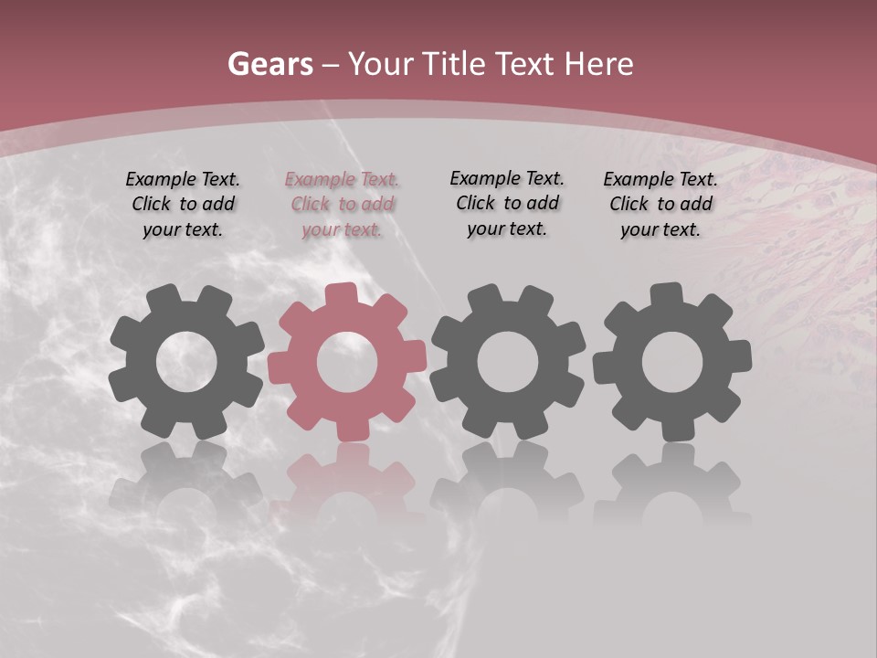 Silver Sand Mane PowerPoint Template