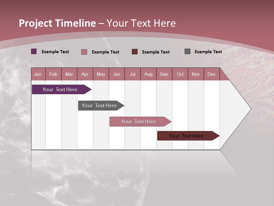 Silver Sand Mane PowerPoint Template
