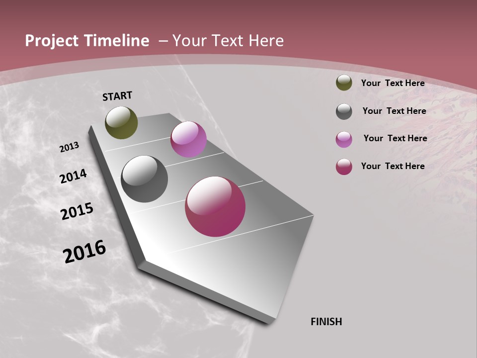 Silver Sand Mane PowerPoint Template