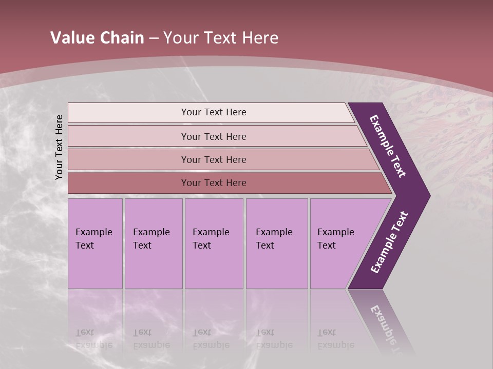 Silver Sand Mane PowerPoint Template