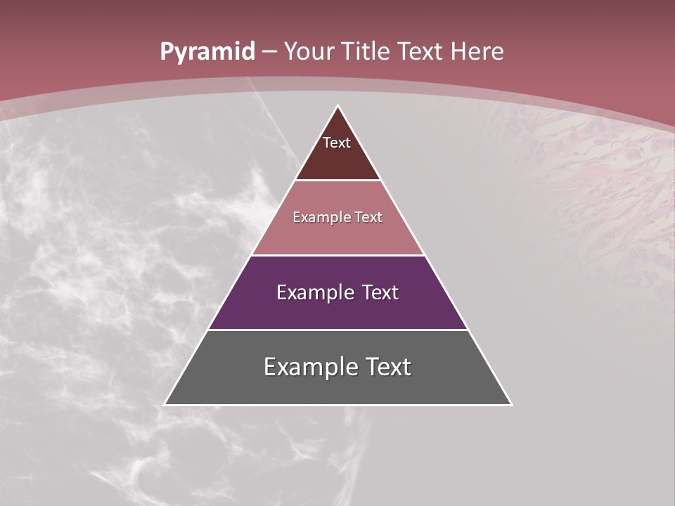 Silver Sand Mane PowerPoint Template