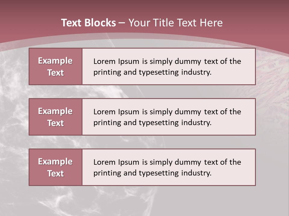 Silver Sand Mane PowerPoint Template
