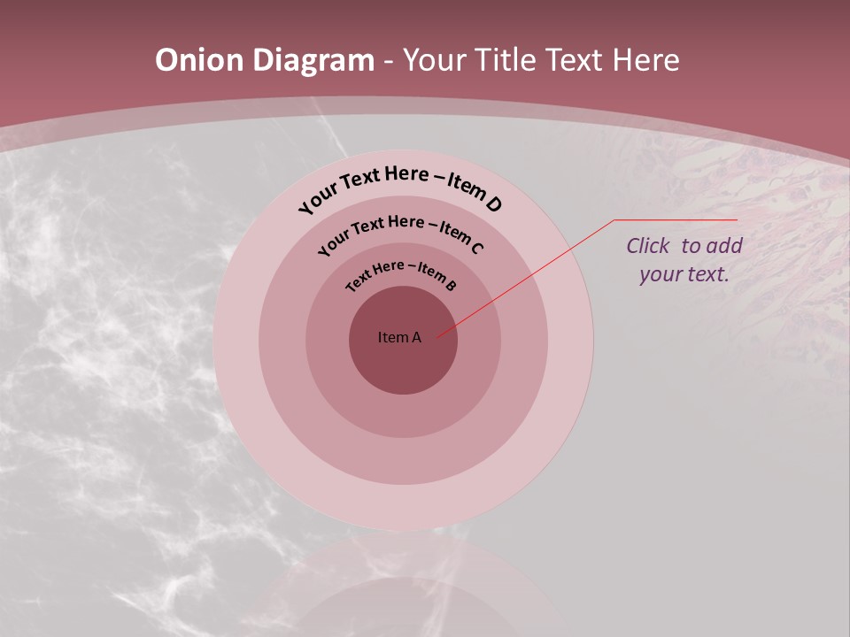 Silver Sand Mane PowerPoint Template