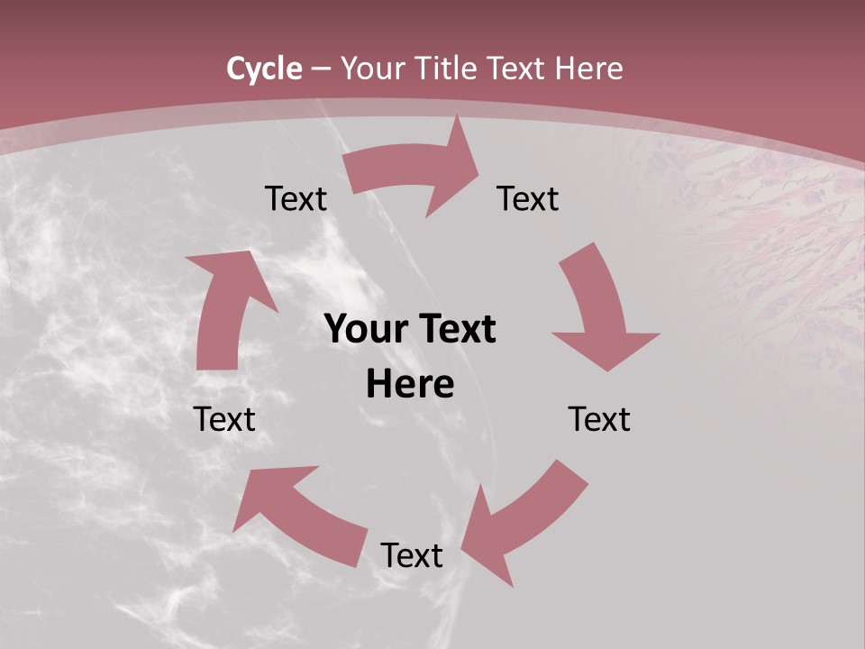 Silver Sand Mane PowerPoint Template