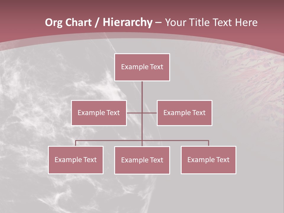 Silver Sand Mane PowerPoint Template