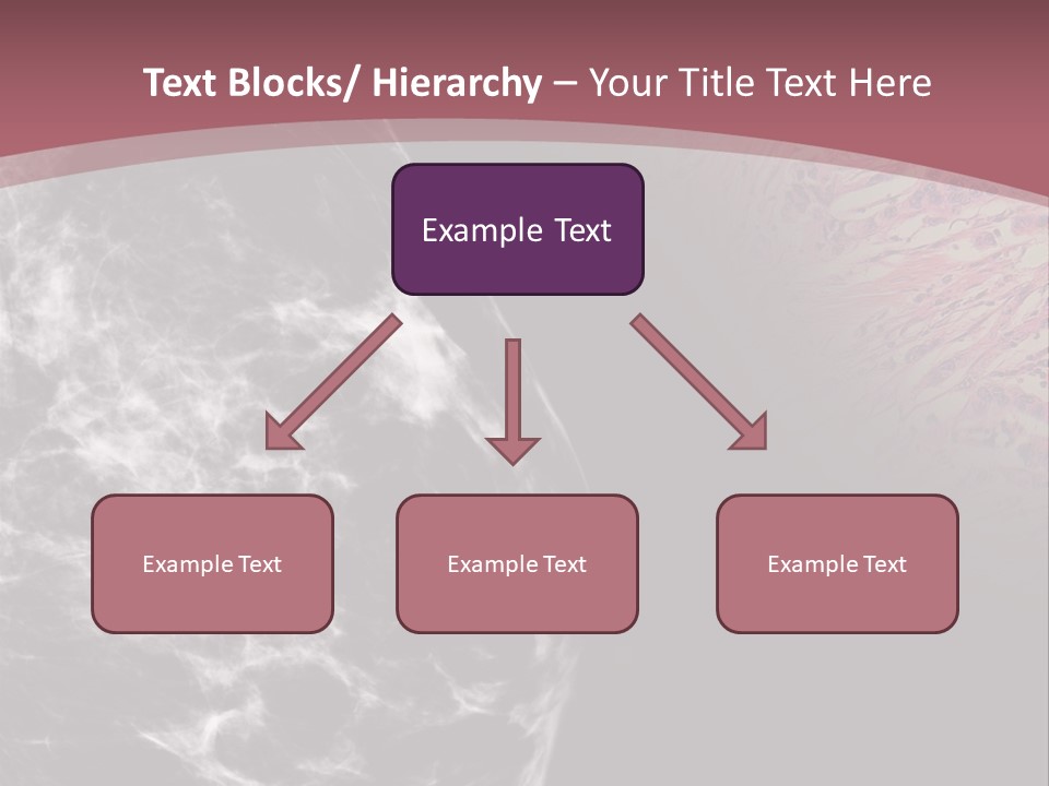 Silver Sand Mane PowerPoint Template