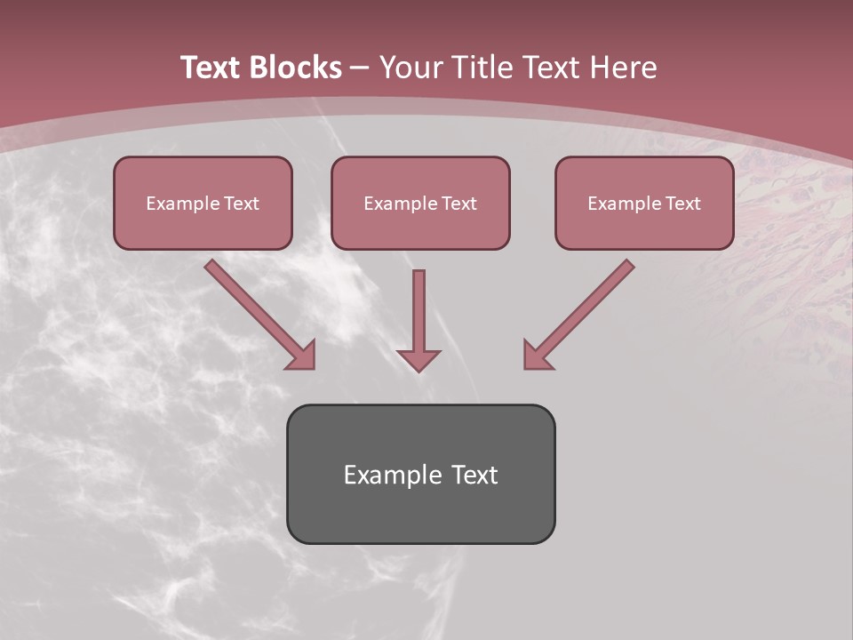Silver Sand Mane PowerPoint Template