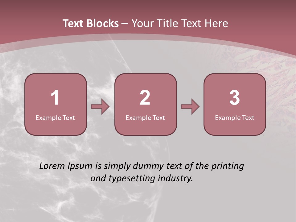 Silver Sand Mane PowerPoint Template