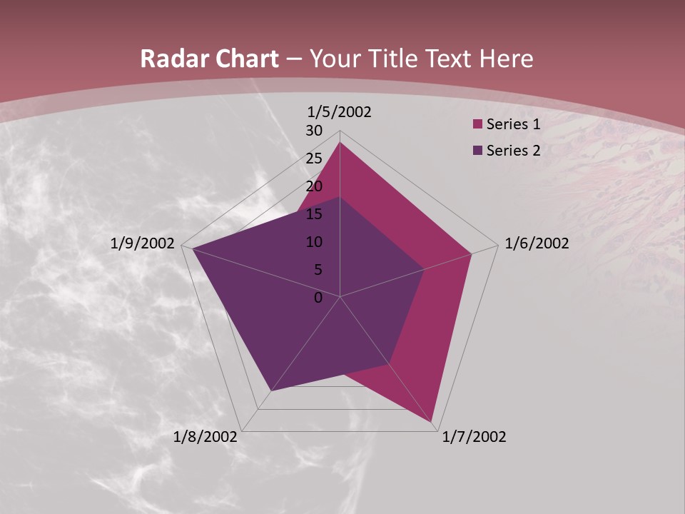 Silver Sand Mane PowerPoint Template