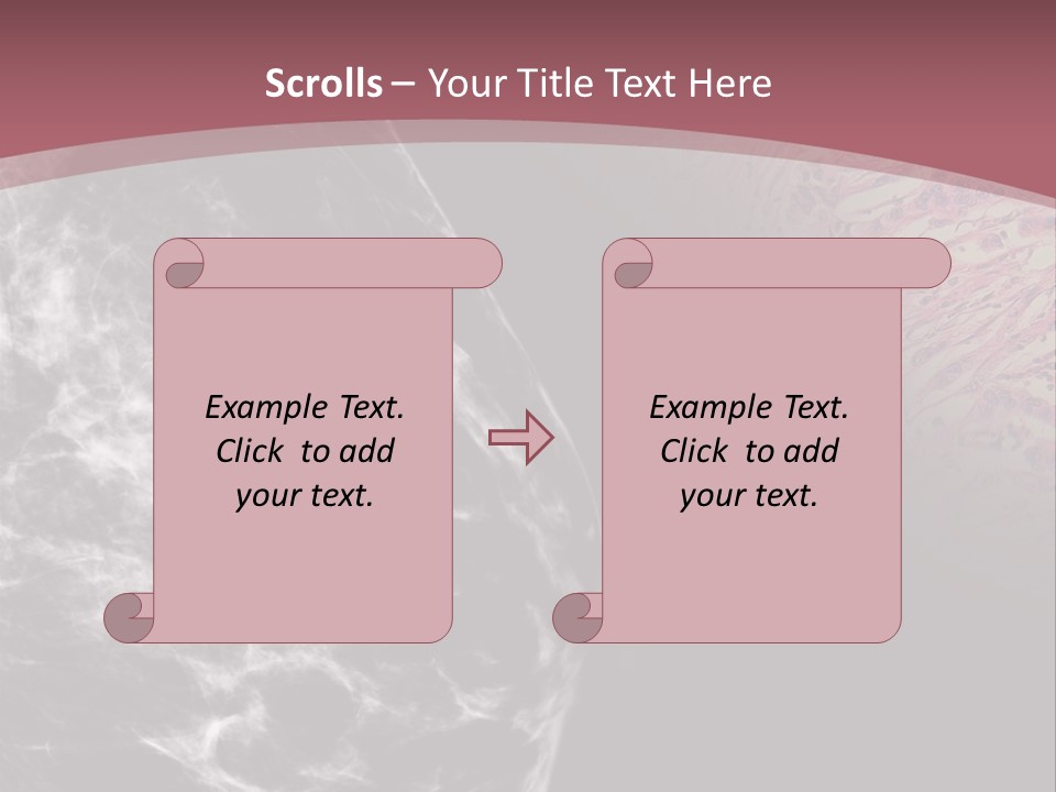 Silver Sand Mane PowerPoint Template