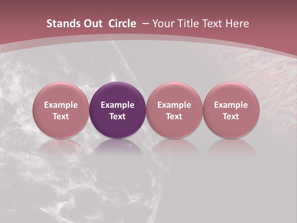 Silver Sand Mane PowerPoint Template