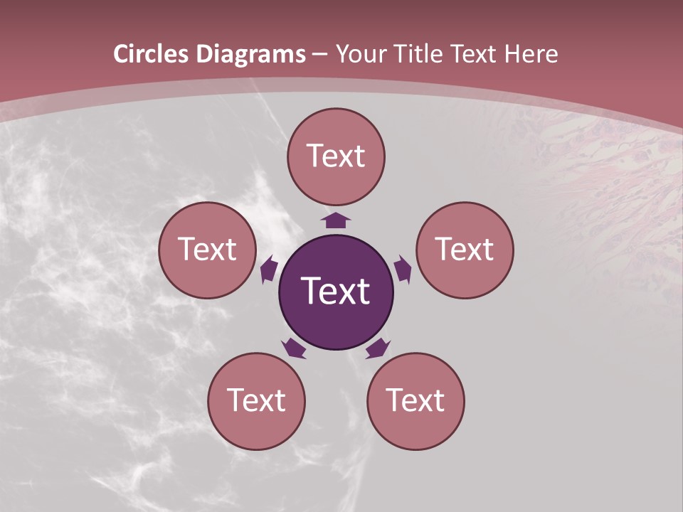 Silver Sand Mane PowerPoint Template