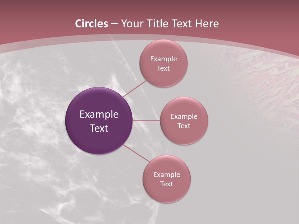 Silver Sand Mane PowerPoint Template