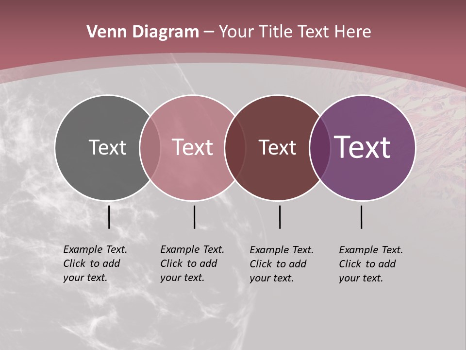 Silver Sand Mane PowerPoint Template