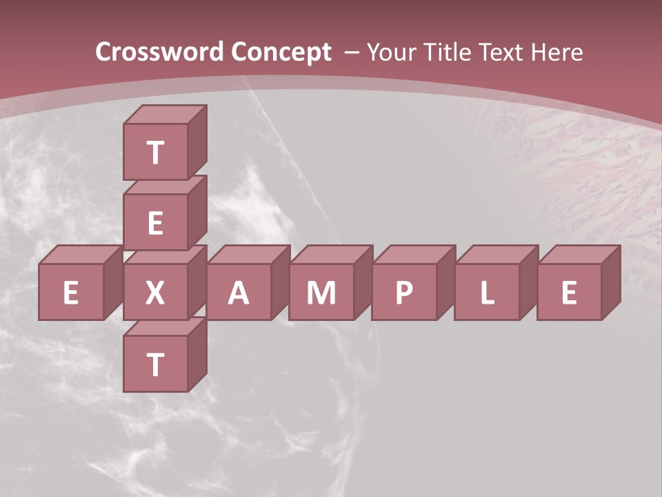 Silver Sand Mane PowerPoint Template