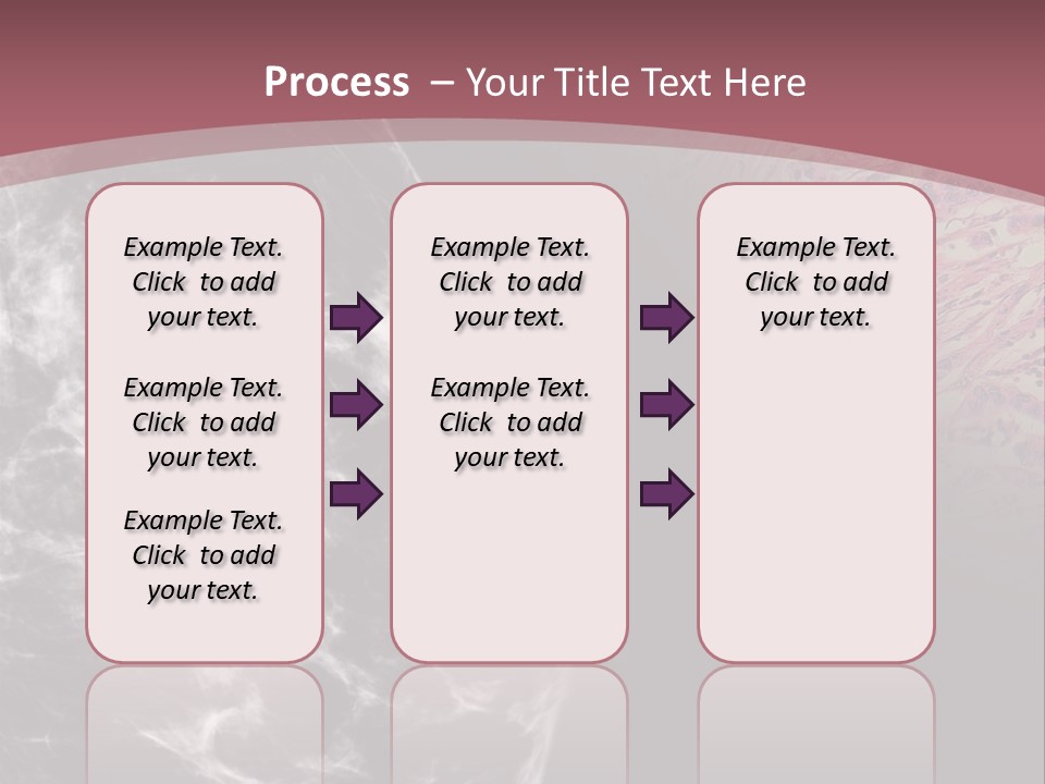 Silver Sand Mane PowerPoint Template