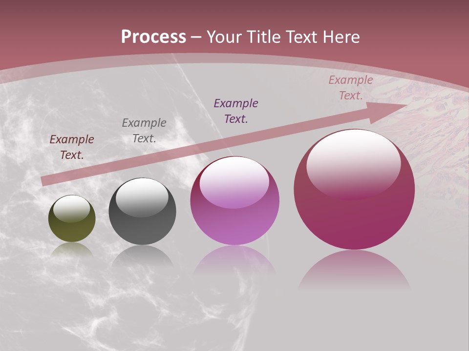 Silver Sand Mane PowerPoint Template