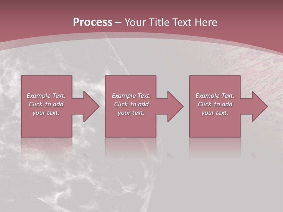 Silver Sand Mane PowerPoint Template