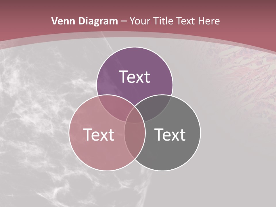 Silver Sand Mane PowerPoint Template