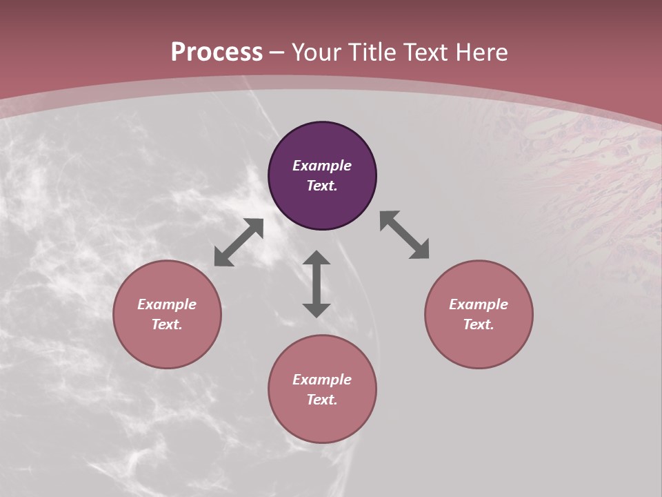 Silver Sand Mane PowerPoint Template