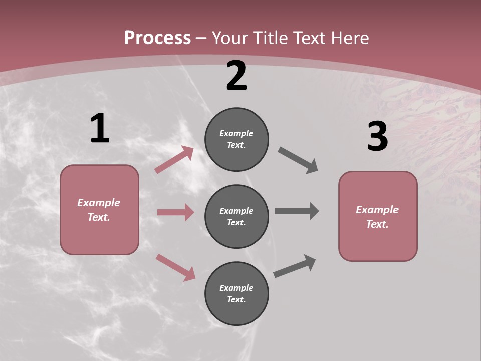 Silver Sand Mane PowerPoint Template