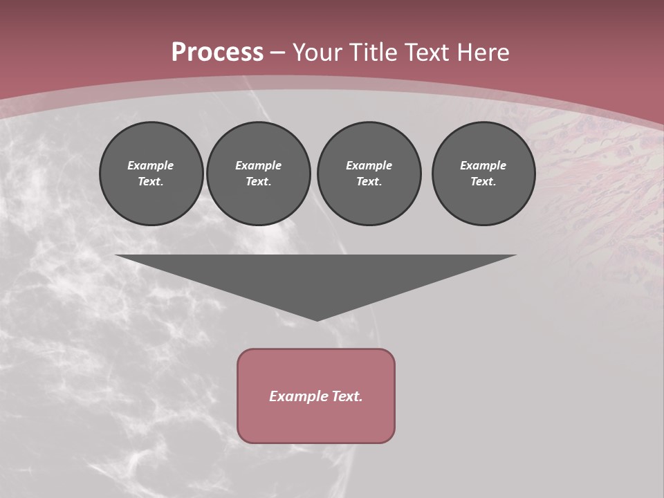 Silver Sand Mane PowerPoint Template