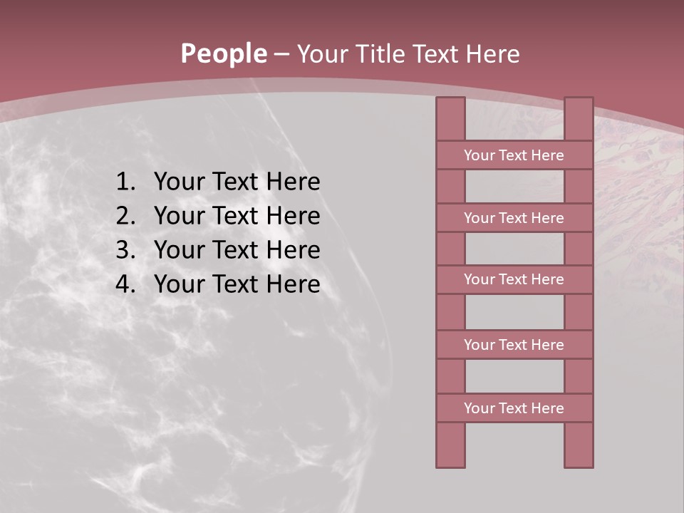 Silver Sand Mane PowerPoint Template