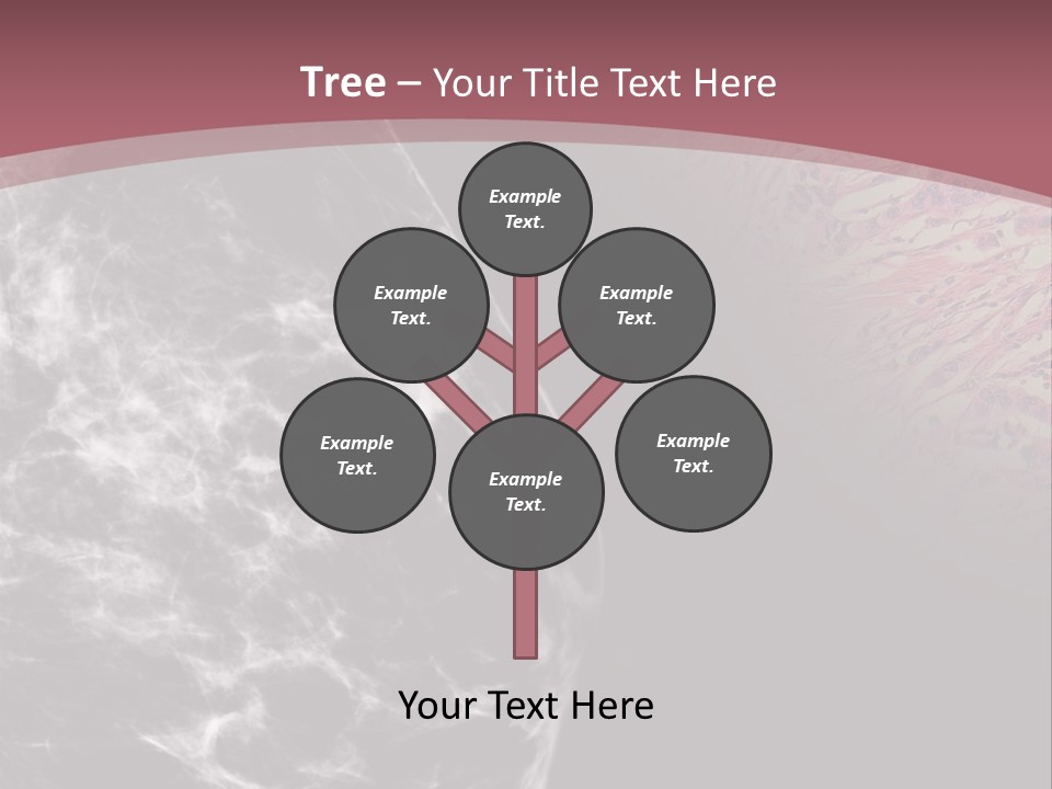 Silver Sand Mane PowerPoint Template