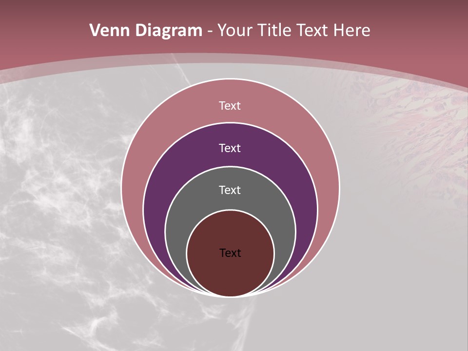 Silver Sand Mane PowerPoint Template