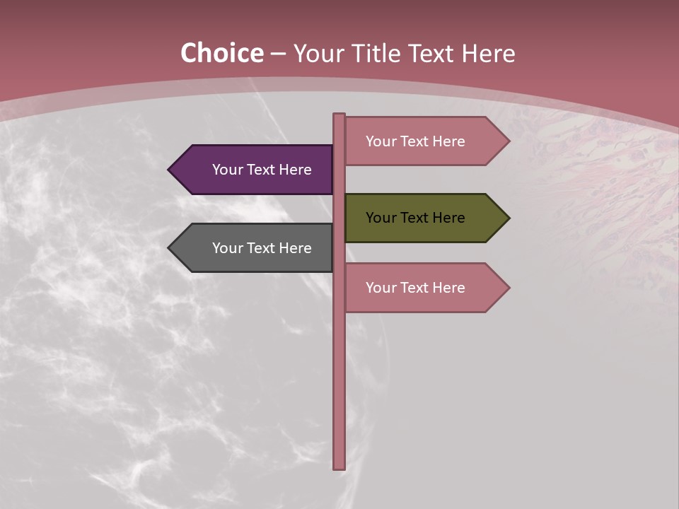 Silver Sand Mane PowerPoint Template