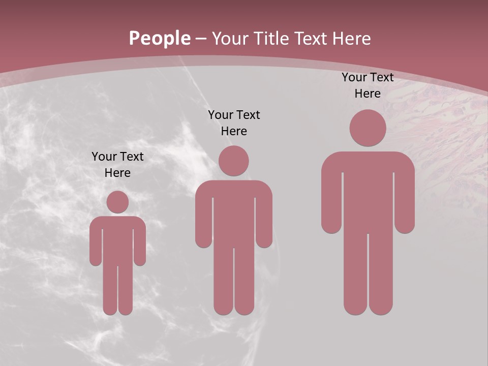 Silver Sand Mane PowerPoint Template